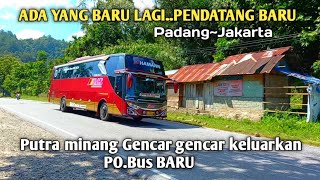 New Arrival Bus Appears Again In the world across Padang~Jakarta,