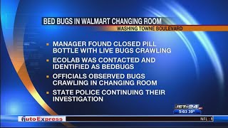 Bed Bugs at Walmart