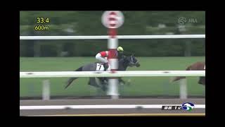 3歳未勝利芝1200m (右)　スプレンディダ　牝3　51.0　▲佐々木大輔　2023.6.10　出走馬：シエロエスティーボ、アフターグロウ、グランツベリー、レディメローラ、エルフォルク、ゴコウサス他