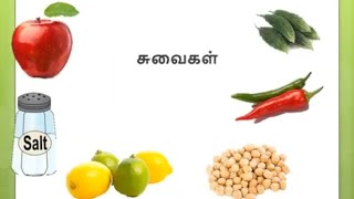 நாவின் சுவைகள் - Different types of Taste - TAMIL FOR KIDS