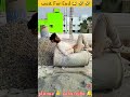 দারা তোর সাত আগে কথা টা বলি 😂🤣😂 shots fannyvideo funny comedyfims comedy foryou @mp5loffer