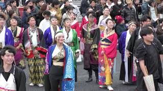 4K 名古屋大学快踊乱舞　バサラカーニバル　2024年12月15日　公園通線南会場　斜めアップ　#名古屋大学快踊乱舞　#快踊乱舞　#バサラカーニバル　#バサカニ