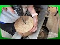 Woodturning a Burl: DUAL GRAIN PATTERN!!