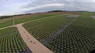 paragliding above greenhouses and horticulture