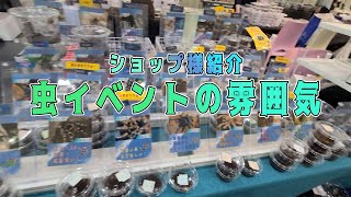 【タランチュラ専門店】虫イベントの雰囲気 | 奇蟲屋 榊 ※概要欄訂正あり