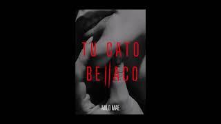 TU GATO BELLACO - Milo Mae