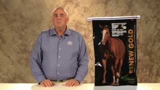 Horse Supplements | Horse Nutrition | Equine Supplements | Horse Feed | Equine Feed