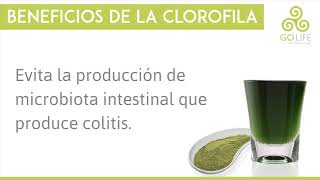 Beneficios Clorofila GoLife