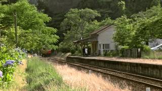 ６月１５日（日）　紫陽花の咲く小湊鉄道月崎駅