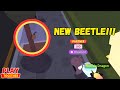 How did I catch this New Elephant Beetle? (Play Together Game)