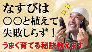 なすびは○○と植えて失敗知らず！！うまく育てる秘訣教えます【自然農法】