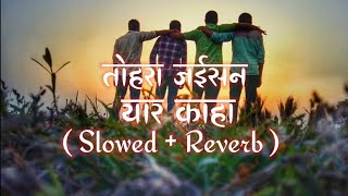 #lofi | Tohara Jaisan Bhai Kaha | Slowed And Reverb | तोहरा जईसन भाई काहा | #lofimusic #lofisong