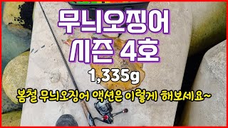 남해 무늬오징어 시즌4호 봄무늬 액션은 이렇게..