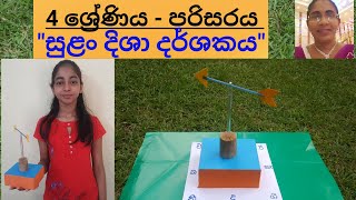 Wind direction indicator | සුළං දිශා දර්ශකය