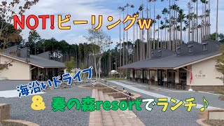 【ビーラー夫婦】海沿いをドライブして奏の森resortでランチした休日♪