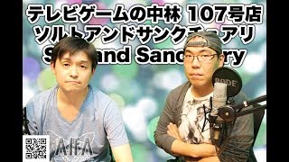 テレビゲームの中林テレビゲームの中林 107号店 ソルトアンドサンクチュアリ/Salt and Sanctuary