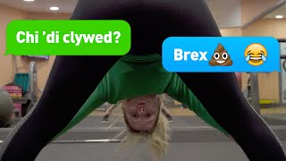 Blwyddyn Newydd Brexit! Croeso i 2019.