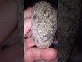 martian shergottite meteorite..similar nwa13190