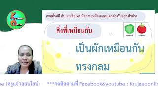 การแก้ปัญหาโดยการเปรียบเทียบ วิทยาการคำนวณ ป.1