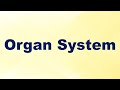 Organ System Definition and Example I Biology