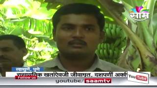 Rupesh Narute banana farming success story