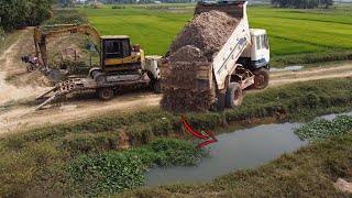 Start incredible new PROJECT! Dump trucks, tractor \u0026 CAT excavator prepare drainage system PROJECT