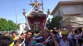 平成２９年　茅ヶ崎市香川　諏訪神社例大祭　神輿渡御