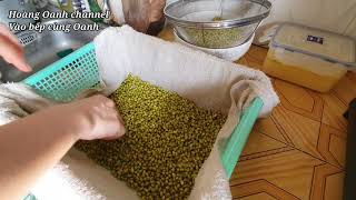 Cách Làm Giá Đỗ Bằng Rổ Nhựa - giá đỗ mập ,không bị thối và đắng #meovatcuocsong  #meovatgiadinh