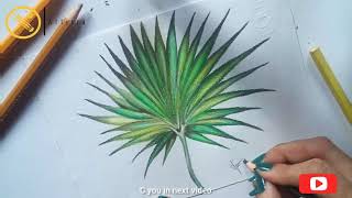 how to shade palmleaf using pencil colors