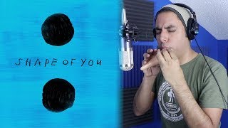 Shape of You - Ed Sheeran - Ocarina Cover || David Erick Ramos