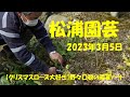 2023.3.5 松浦園芸