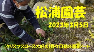 2023.3.5 松浦園芸