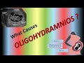 What Causes Oligohydramnios in Pregnancy ? What can cause amniotic fluid levels to be low ?