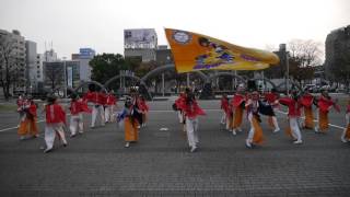 夢源風人 第１１回四日市よさこい祭り 市民公園会場