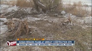 Greeley authorities work to identify skeleton