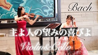 Bach【主よ人の望みの喜びよ】バイオリン・チェロ二重奏