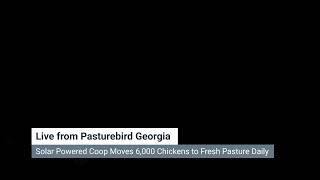 Pasturebird Live 9/21/23