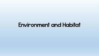 Environment of Living Things - Environment and Habitat - Primary 2