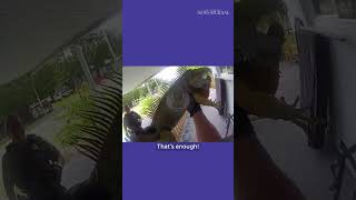 Watch as Daytona Beach officers arrest scaly suspect