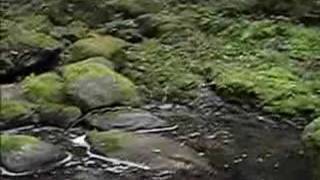 2007年06月29日　「必中の気構え」　tenkara.com