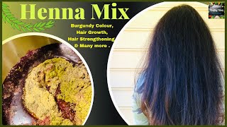 How I Mix Henna 100% Organic Ingredients ఎలాంటి కెమికల్స్ లేకుండా ఇలా హెన్నా మిక్స్ చేసి పెట్టుకోండి