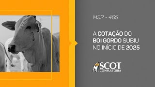 Mercado Sem Rodeios - Episódio 465 - A cotação do boi gordo subiu no início de 2025!