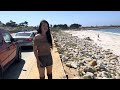 us road trip 2024 2024年美國環島兩個月之旅 加州最後一站 第三站 卡梅爾小鎮 17哩路 蒙特雷 carmel 17 miles drive monterey