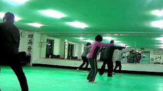 Taiji-Quan:ChenStyle한국진식실용태극권협회\u0026청주실용태극권.실용2로수련모습