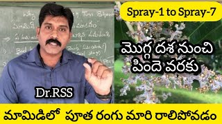 మామిడి పూత - నల్ల గా మారి రాలిపోతుంది/Why mango flower turning Brown/Black. by Dr.RSS