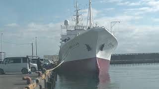 1月20日　下架してきた第51日光丸(the 51st Nikko Maru)