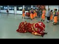 lion dance