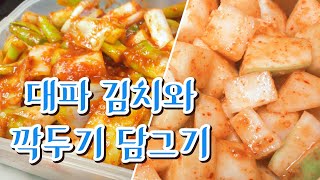 대파 김치와 무 깍두기 담그기 How To Make Green Onion Kimchi(=Dae-pa Kimchi) \u0026 Radish Kimchi(=Kkakdugi).