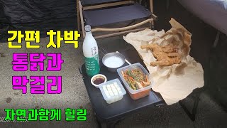 간편 차박 통닭과 막걸리로 계룡산 자동차 야영장 (야간에 다양한 색 가로수  조명 신기한 느낌)