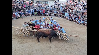 Fóios em festa- Vídeo Promocional